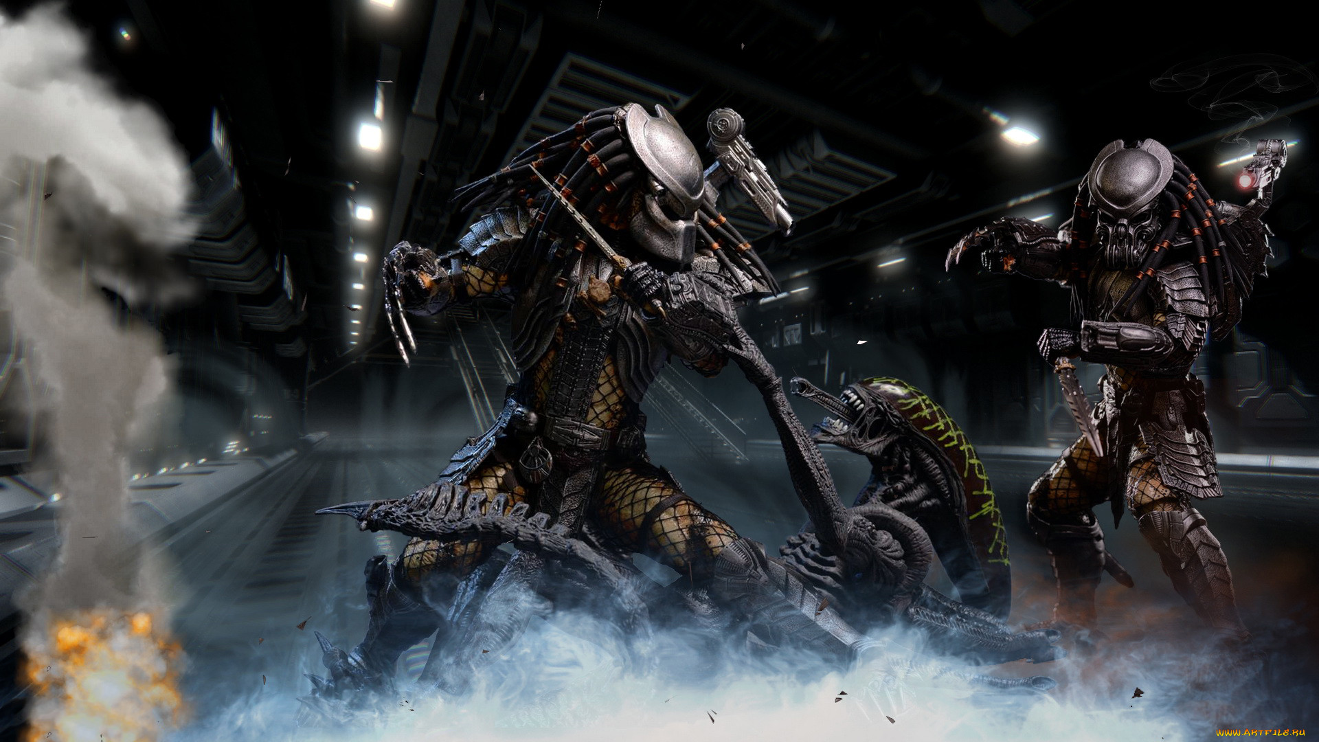  , alien vs,  predator, , , 